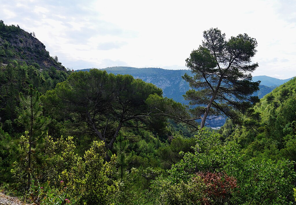 Pose de borne de recharge Alpes-Maritimes