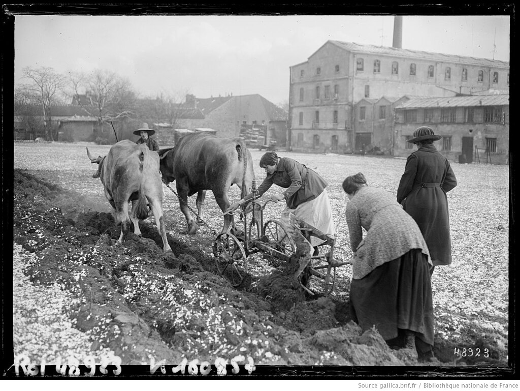 Pose de borne de recharge Val-de-Marne