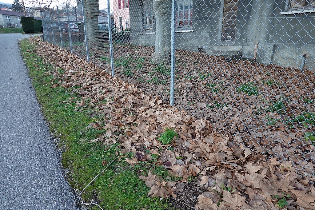 Pose de borne de recharge Bellegarde-sur-Valserine