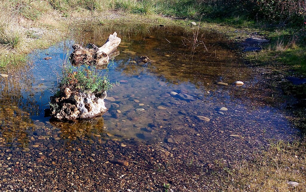 Pose de borne de recharge Wittenheim