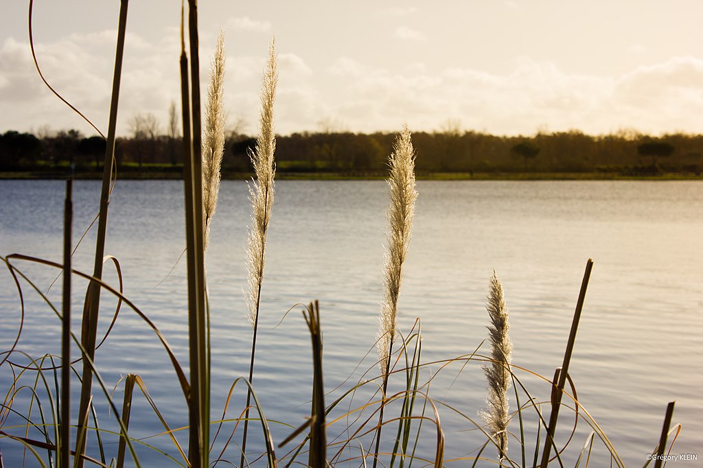 Pose de borne de recharge Tournefeuille