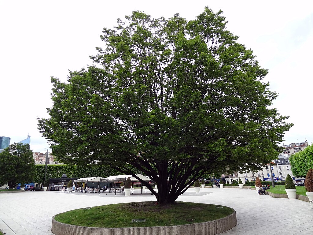 Pose de borne de recharge Puteaux