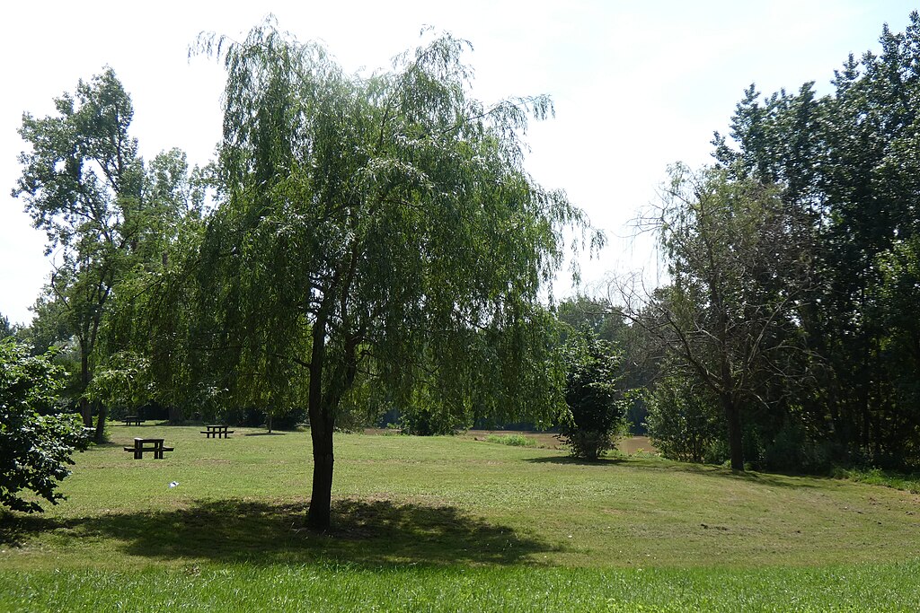 Pose de borne de recharge Marmande